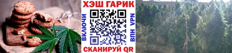 наркотики  Фокино  дарк нет официальный сайт  Печенье с ТГК конопля 
