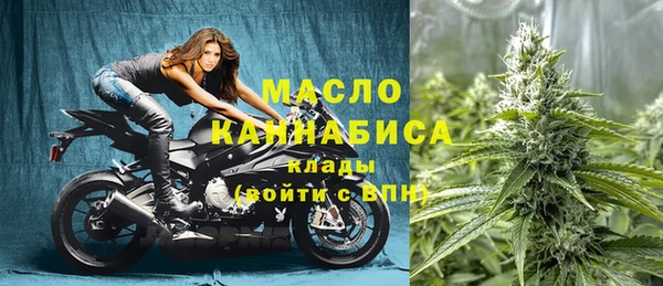 сатива Абинск