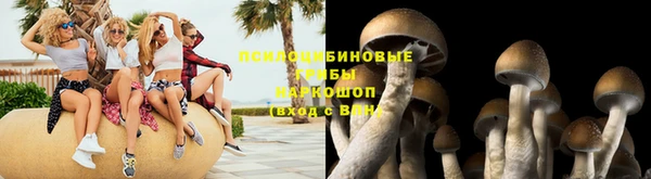 марки lsd Краснослободск