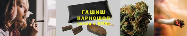индика Абаза