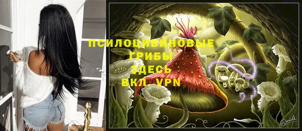 сатива Абинск