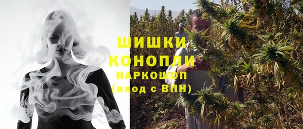 индика Абаза