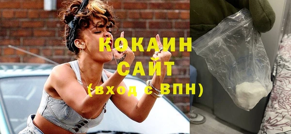 индика Абаза