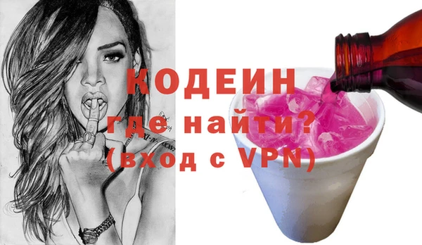 индика Абаза