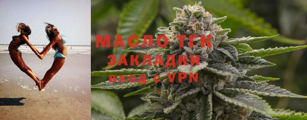 индика Абаза