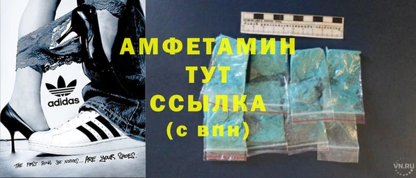 сатива Абинск