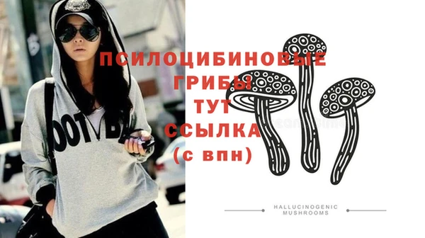 индика Абаза