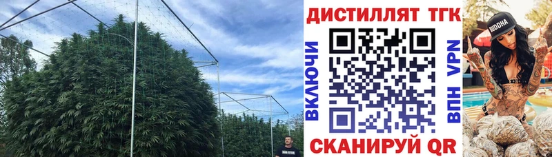 ТГК THC oil Фокино