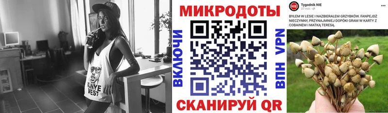 Псилоцибиновые грибы мухоморы  ссылка на мегу онион  Фокино  где купить  