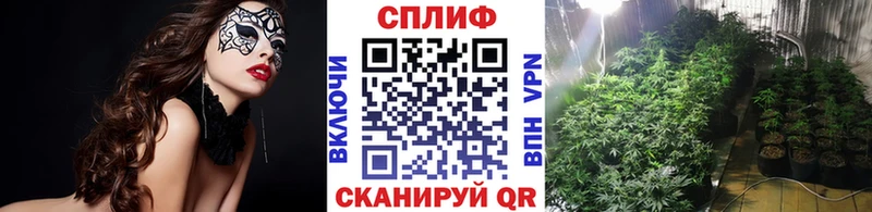 Бошки Шишки марихуана  kraken онион  Фокино 